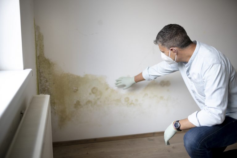 rising damp maidenhead